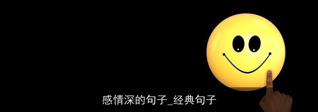 感情深的句子_经典句子