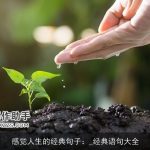 感觉人生的经典句子：_经典语句大全