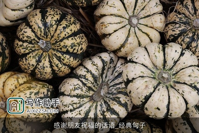 感谢朋友祝福的话语_经典句子