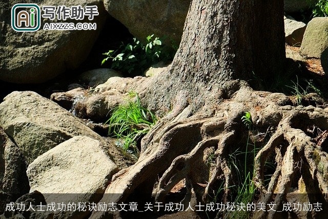 成功人士成功的秘诀励志文章_关于成功人士成功秘诀的美文_成功励志