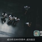 成功作文800字高中_成功励志