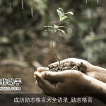 成功励志格言大全语录_励志格言