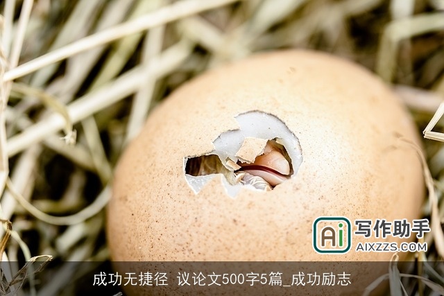 成功无捷径 议论文500字5篇_成功励志