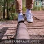 成功的定义是什么的文章_成功励志