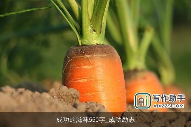 成功的滋味550字_成功励志