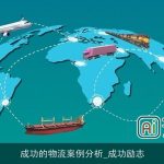 成功的物流案例分析_成功励志