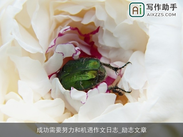 成功需要努力和机遇作文日志_励志文章