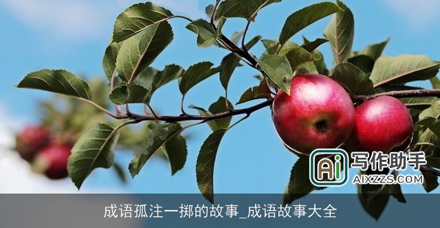 成语孤注一掷的故事_成语故事大全