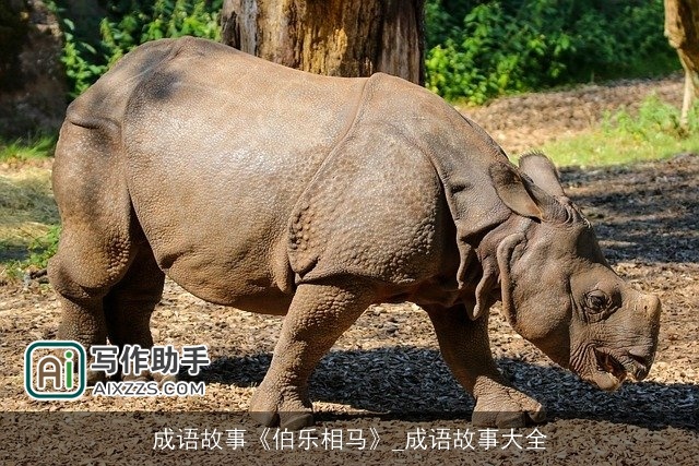 成语故事《伯乐相马》_成语故事大全