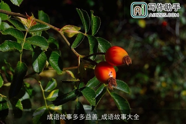 成语故事多多益善_成语故事大全