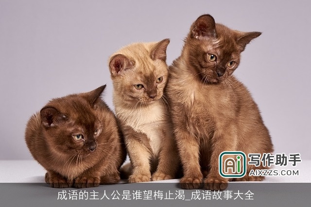 成语的主人公是谁望梅止渴_成语故事大全