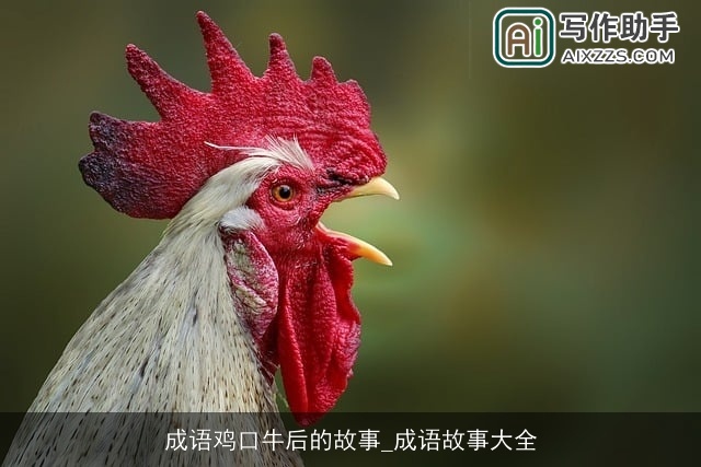 成语鸡口牛后的故事_成语故事大全