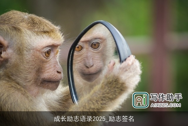 成长励志语录2025_励志签名