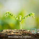 成长心语篇大全_问候短信