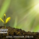 成长路上的挫折故事_故事大全