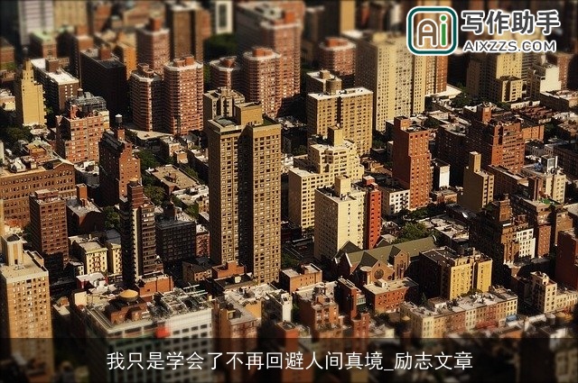 我只是学会了不再回避人间真境_励志文章