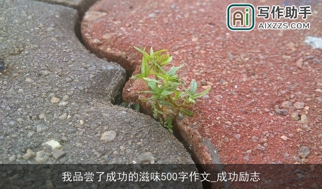 我品尝了成功的滋味500字作文_成功励志