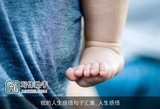 我的人生感悟句子汇集_人生感悟