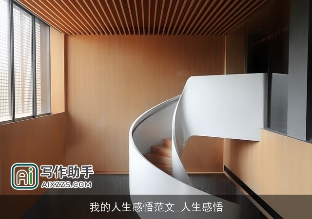 我的人生感悟范文_人生感悟