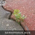 我的青春梦想座右铭_座右铭