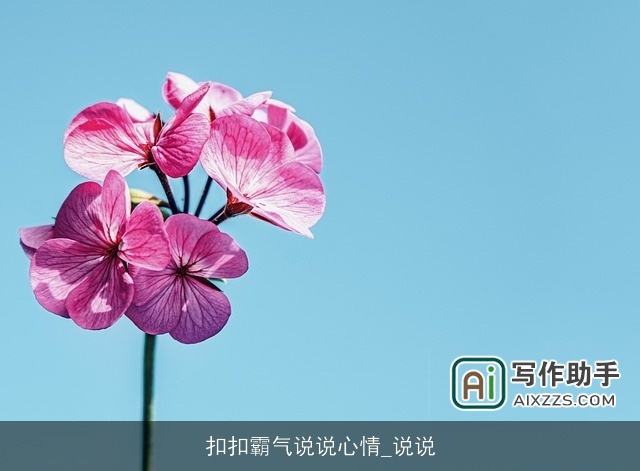 扣扣霸气说说心情_说说