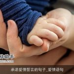承诺爱情誓言的句子_爱情语句