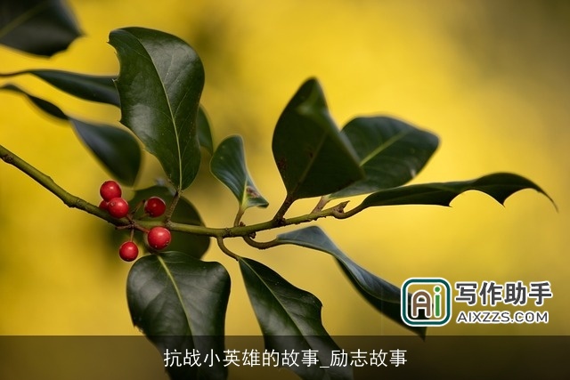 抗战小英雄的故事_励志故事