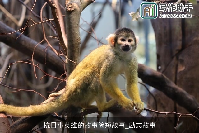 抗日小英雄的故事简短故事_励志故事