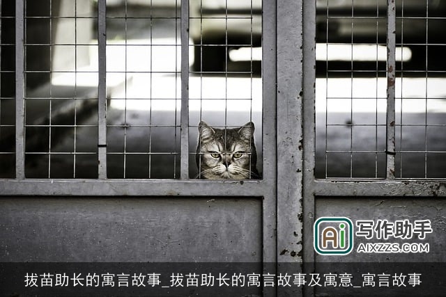 拔苗助长的寓言故事_拔苗助长的寓言故事及寓意_寓言故事