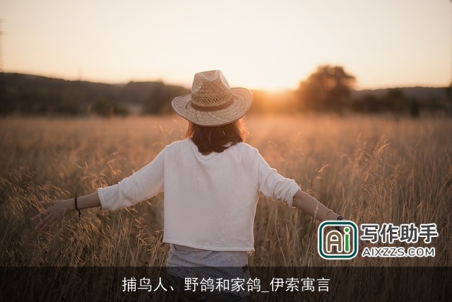 捕鸟人、野鸽和家鸽_伊索寓言