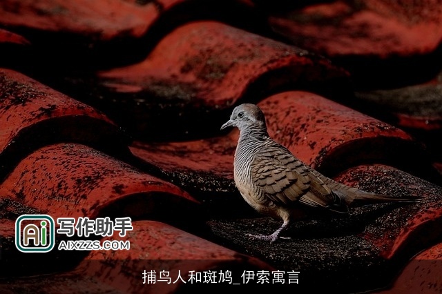 捕鸟人和斑鸠_伊索寓言