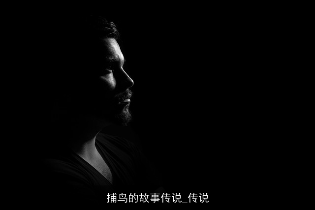 捕鸟的故事传说_传说