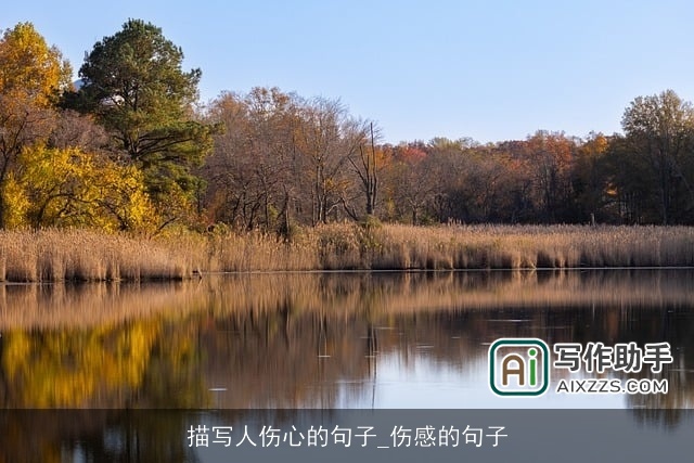 描写人伤心的句子_伤感的句子