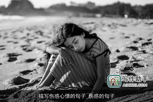 描写伤感心情的句子_伤感的句子