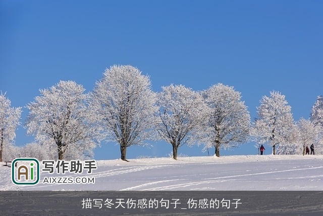 描写冬天伤感的句子_伤感的句子