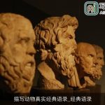 描写动物真实经典语录_经典语录