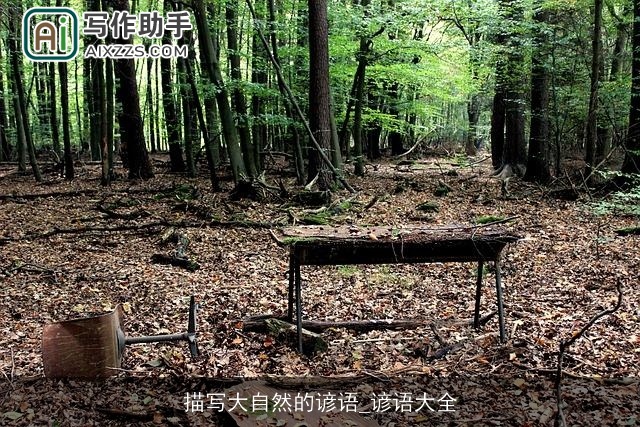 描写大自然的谚语_谚语大全