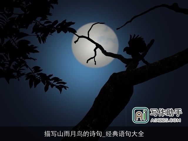 描写山雨月鸟的诗句_经典语句大全