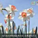 描写春天用到的经典词语_经典语句大全