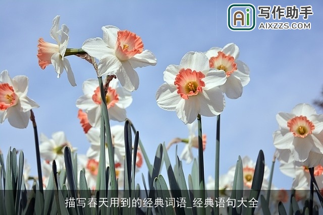 描写春天用到的经典词语_经典语句大全