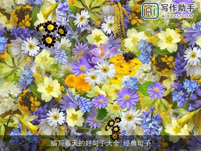 描写春天的好句子大全_经典句子