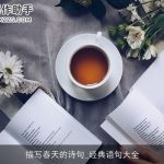 描写春天的诗句_经典语句大全