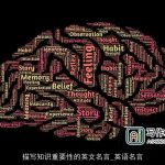 描写知识重要性的英文名言_英语名言