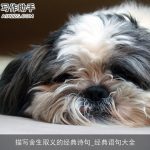 描写舍生取义的经典诗句_经典语句大全