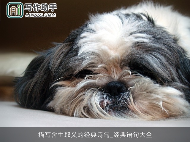 描写舍生取义的经典诗句_经典语句大全