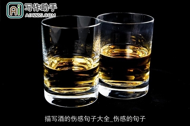 描写酒的伤感句子大全_伤感的句子