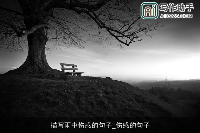 描写雨中伤感的句子_伤感的句子
