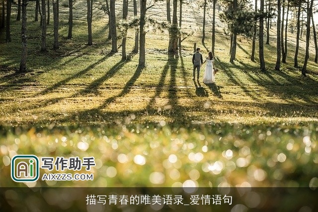 描写青春的唯美语录_爱情语句