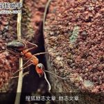 搜狐励志文章_励志文章