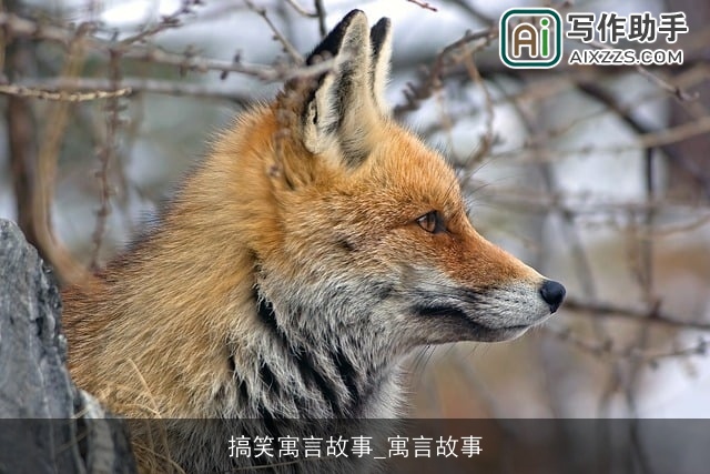 搞笑寓言故事_寓言故事